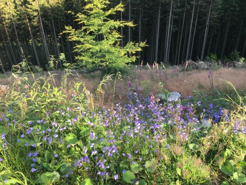 Apartamento Ferienwohnung Hahnenklee 5/138