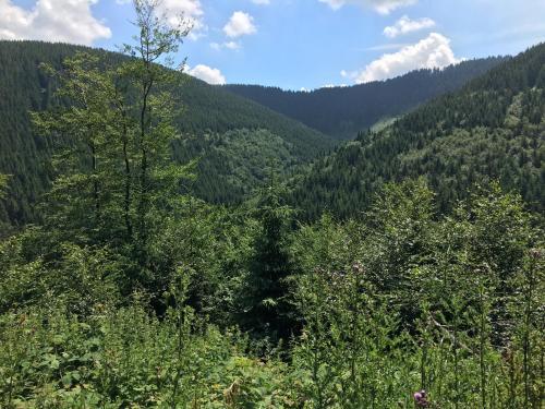 Apartamento Ferienwohnung Hahnenklee 5/138