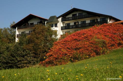 Apartamento Appartement Hauzenberg-panorama