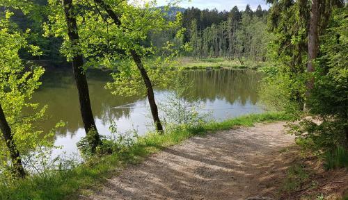 Apartamento Appartement Hauzenberg-panorama