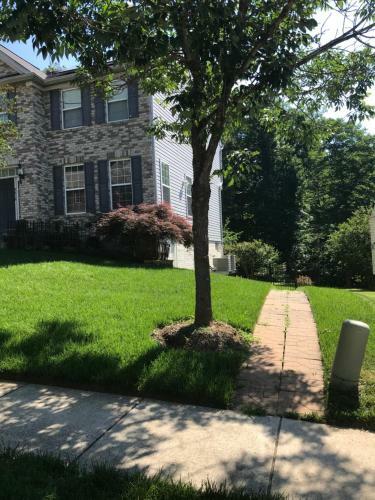 Apartamento Single Family Home