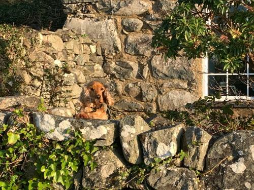 Amazing 3-bed Cottage In Llanfair With Ocean Views
