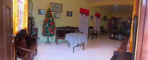 Hostal Rose And Fer Transient House