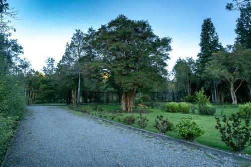 The Forest House Cocham�
