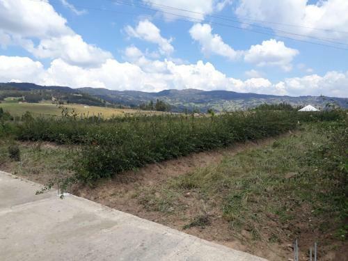 Casa Campestre