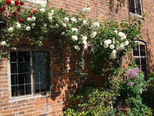 Bed & Breakfast Daybrook House