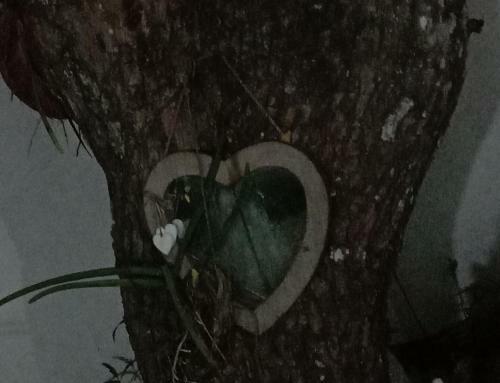 Apartamento Podi Siriniwase