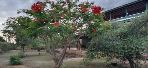 Agroturismo Yala Holiday Resort (Etf Board)