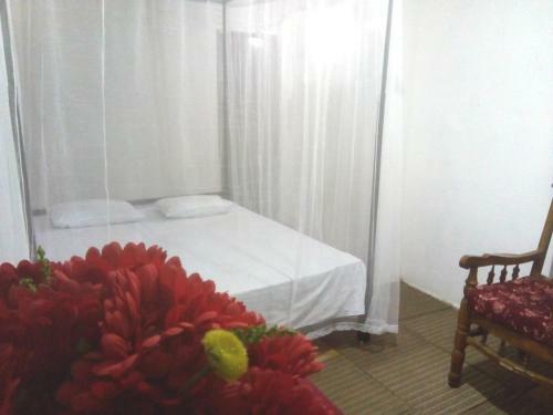 T & U Homestay