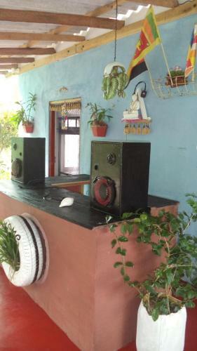 Hikka Bird Hostel