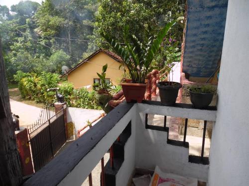 Apartamento Mango Villa 50