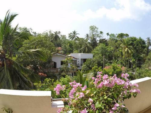 Hostal Yellowappartments