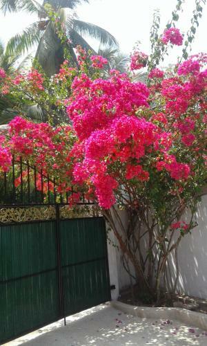 Hostal Beauty Beach Villa