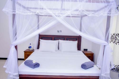 Hostal The Green Lagoon Villa