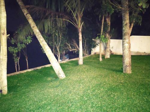 Hostal The Green Lagoon Villa