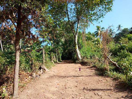 Bed & Breakfast Guruge Villa