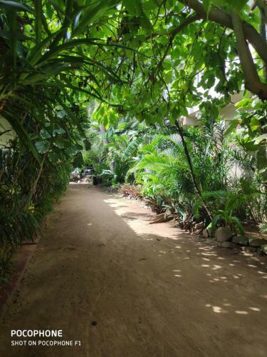 Hostal Summer Lanka Beach Side