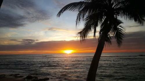 Hotel Nippon Villa Beach Resort