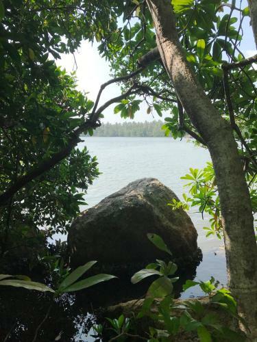 Treehouse Villas Hikkaduwa