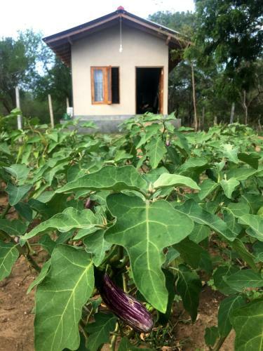 Apartamento C Base Cottage