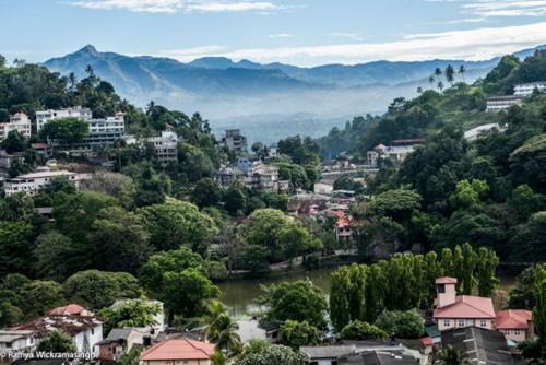 Bed & Breakfast Bougain Villa Luxury "home Stay" In Kandy