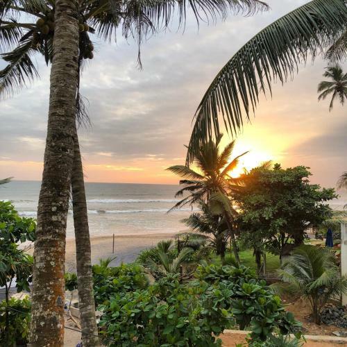 Hotel Ocean Breeze Villa