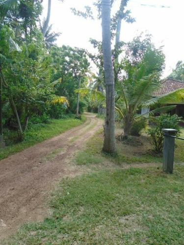Apartamento Tropical Dream