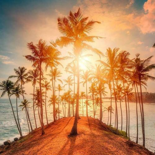 Hostal Coco Mount