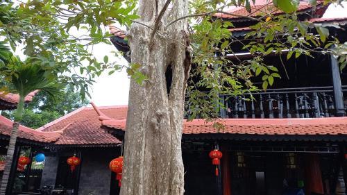 Villa Nh� C? Di�n S?n (Dien Son Ancient House)