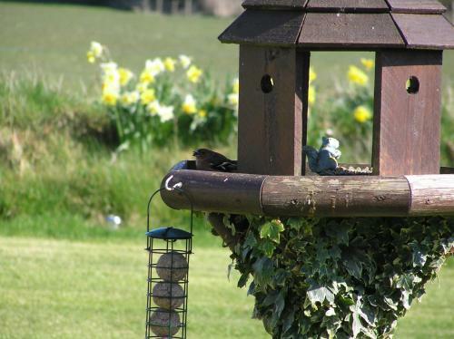Bed & Breakfast Greenfields