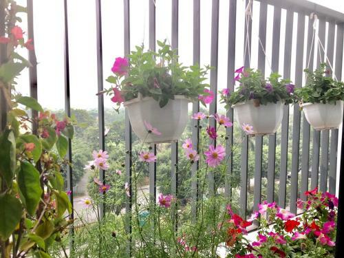 Bom Homes- Ecopark- Service Apartment