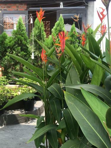Hostal Ng�i House