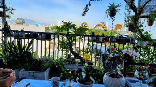 Hostal Sena Home 3*1*overlooking Danang Dragon Bridge