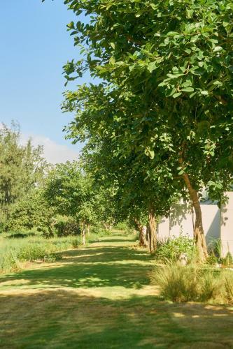 Stunning 3-bedroom Golf View Villa