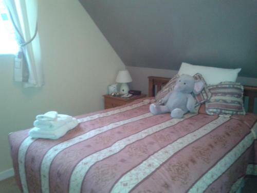 Springfield B&B