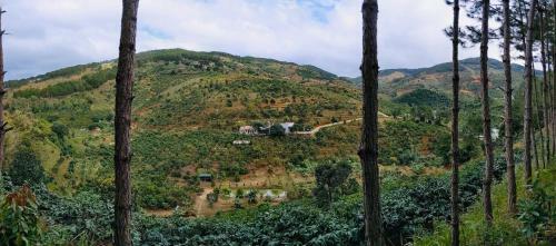 Agroturismo Ovi Coffee Farmstay ?� L?t
