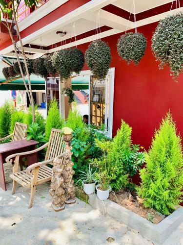 Hostal Doc Bo Homestay