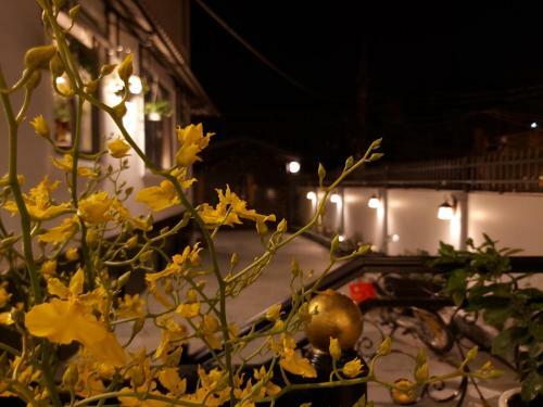 Hostal Villa Su?i M�a Xu�n