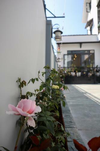 Hostal Villa Su?i M�a Xu�n