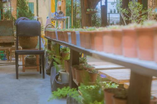 Hostal G? Th�ng Homestay