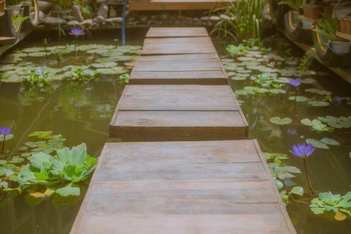Hostal G? Th�ng Homestay