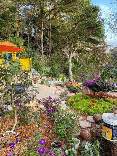 Bed & Breakfast Csltdl & Coffee S�n V??n V??ng B?o Long ?� L?t