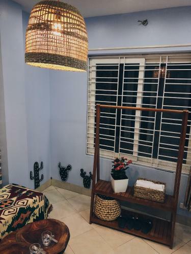 Cactus Homestay