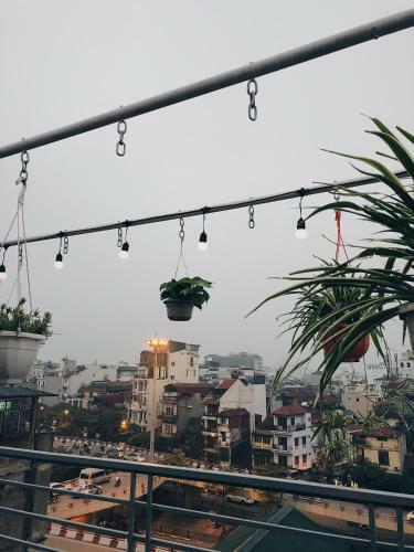 Cactus Homestay