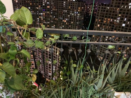 Asahi Luxstay - Royal City Apartment