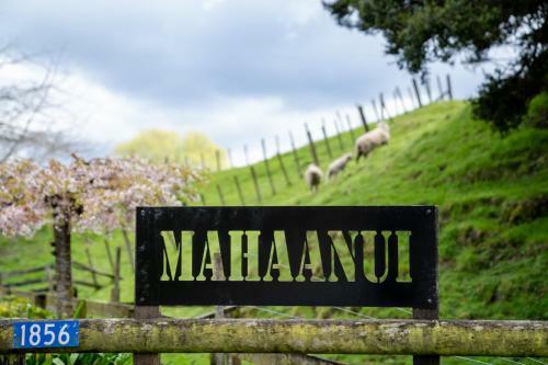 Agroturismo Mahaanui Quarters Farmstay