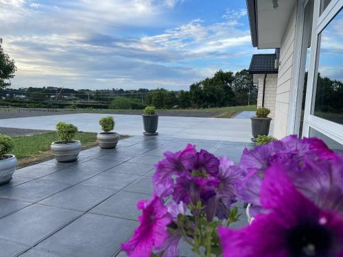 Hostal Veld View Bed And Breakfast