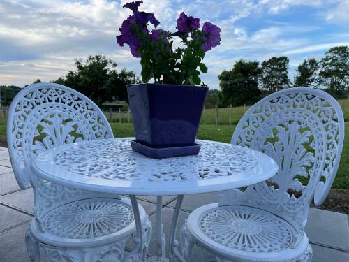 Hostal Veld View Bed And Breakfast