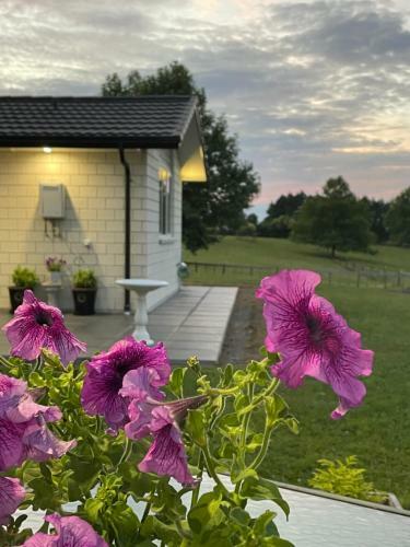 Hostal Veld View Bed And Breakfast