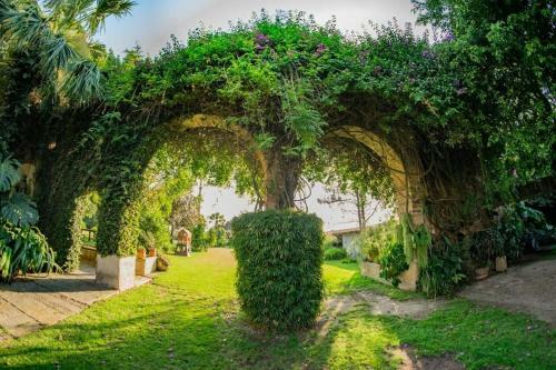 Hotel Finca San Javier